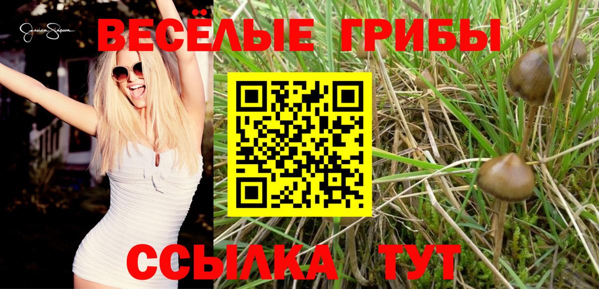 Галлюциногенные грибы ЛСД Печора