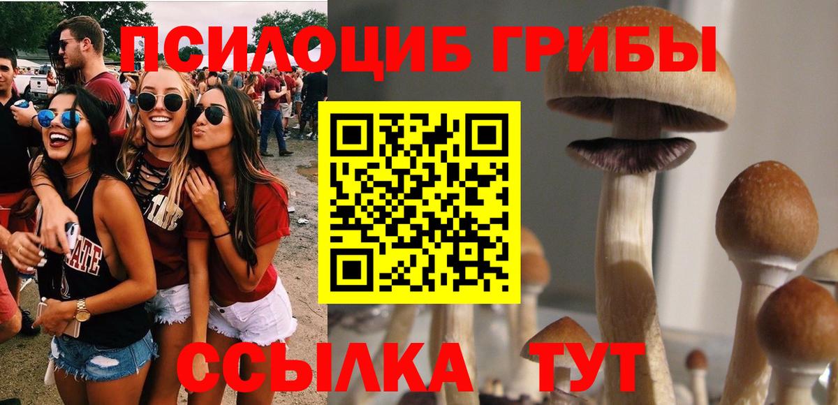 Печора  купить наркотики цена  Вход с VPN  Псилоцибиновые грибы GOLDEN TEACHER 